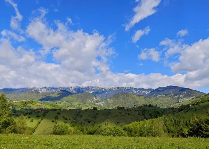 Alpine Escape Studios