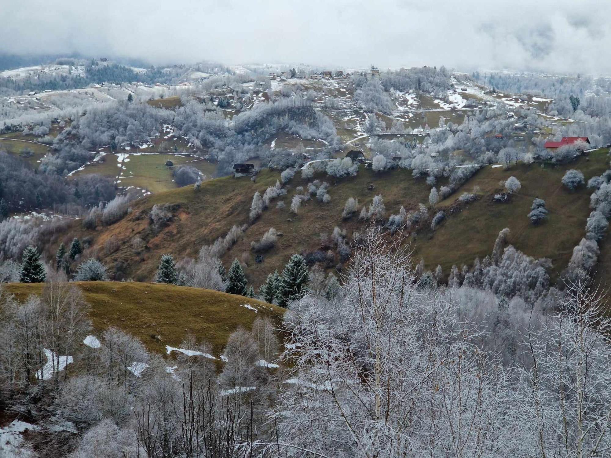 Alpine Escape Magura (Brasov)