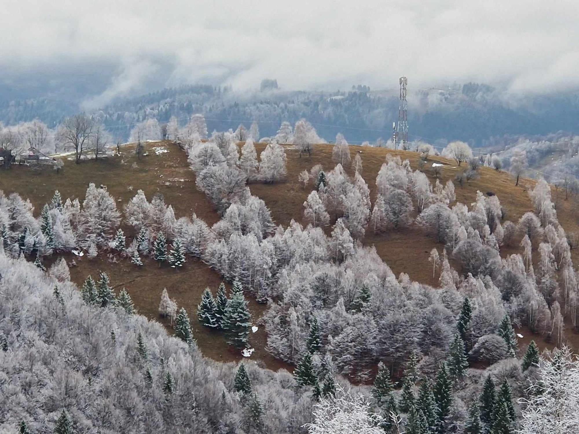 Alpine Escape Lodge Magura (Brasov)