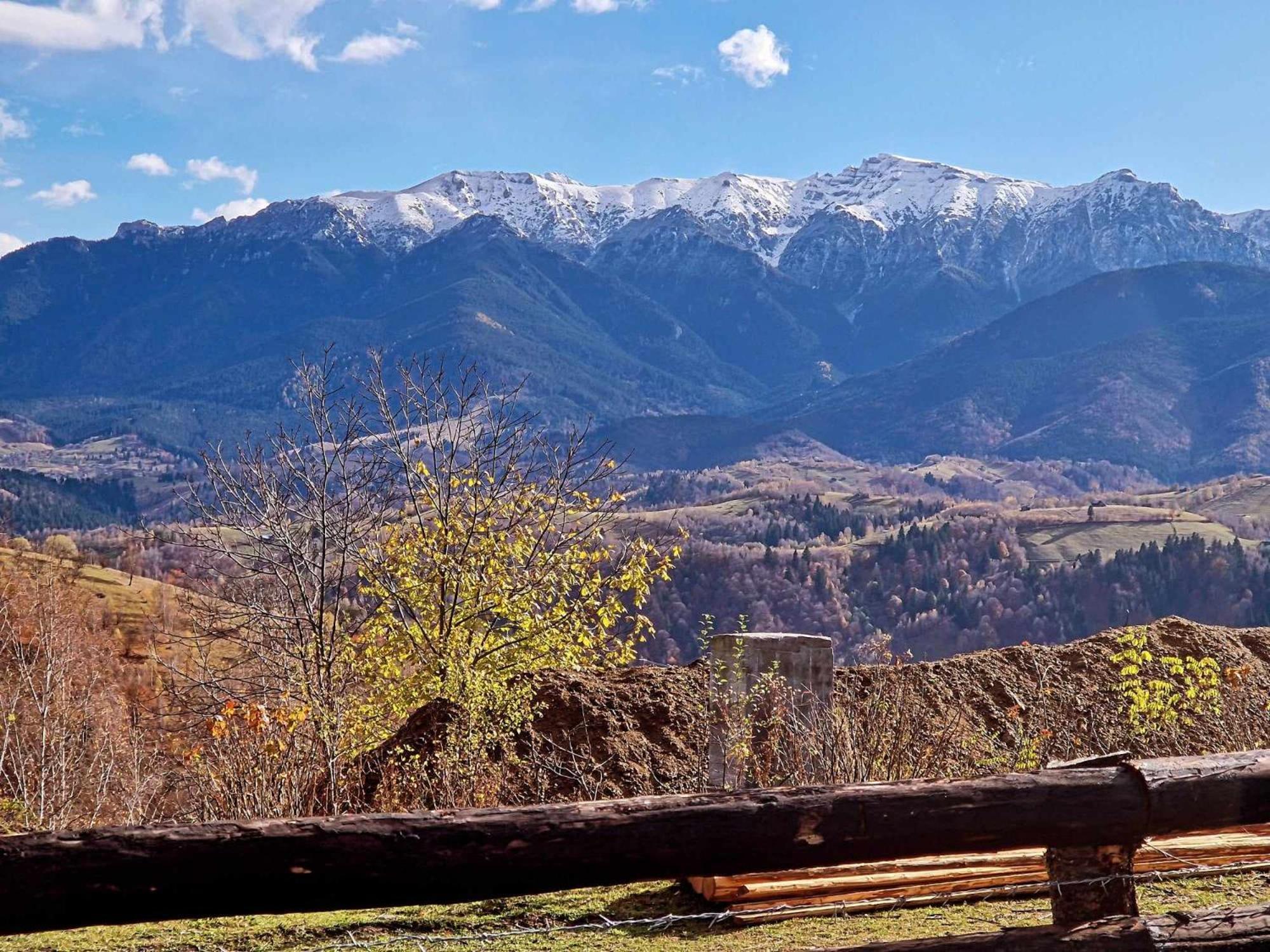 Lodge Alpine Escape