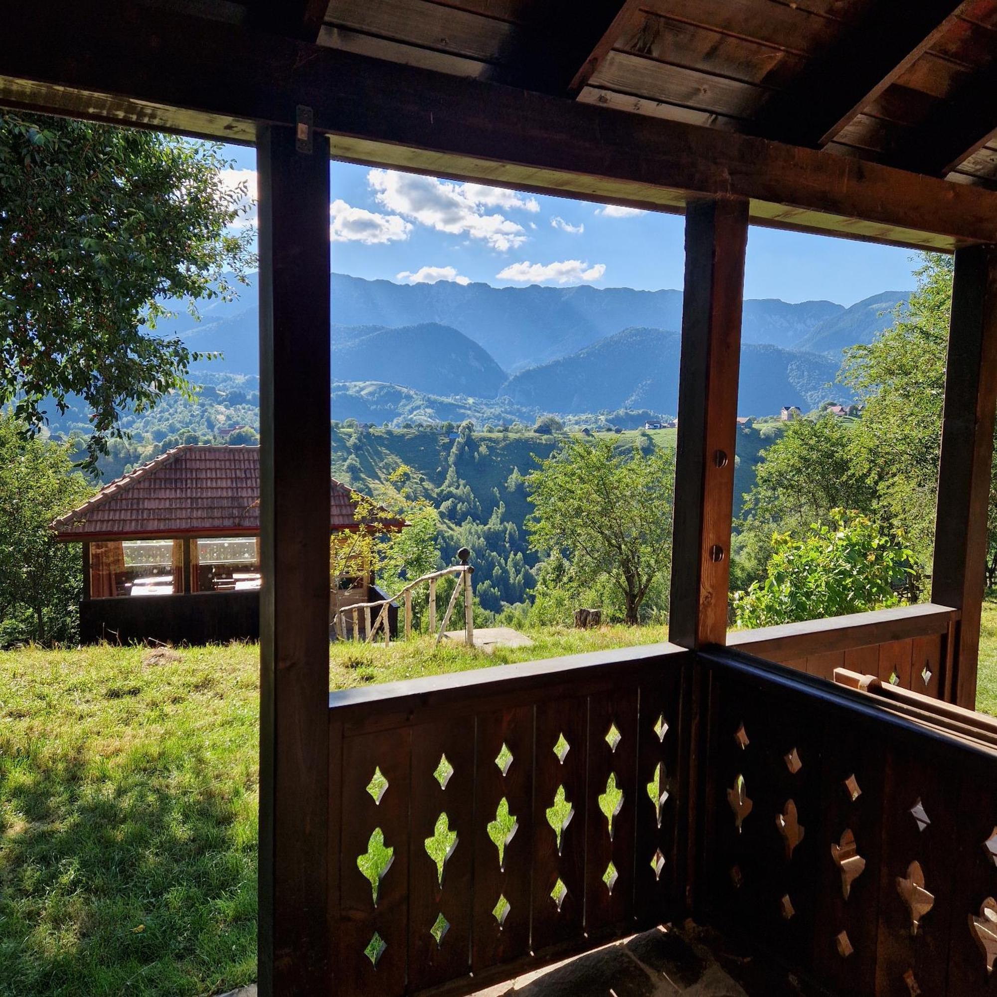 Alpine Escape Magura (Brasov)