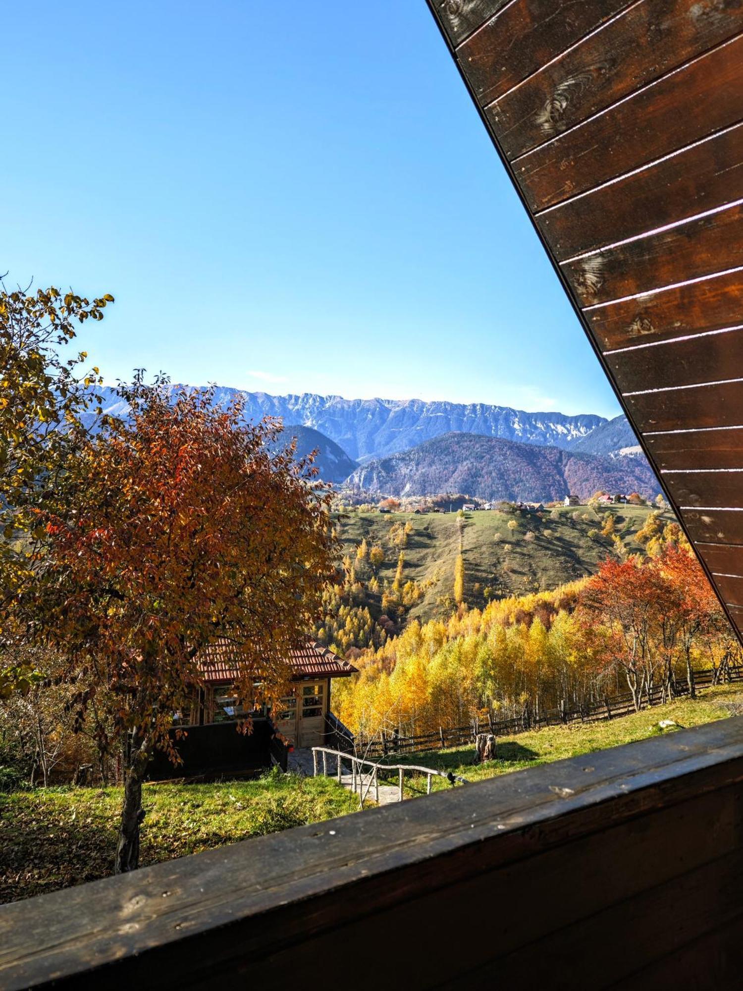 Alpine Escape * Magura (Brasov)