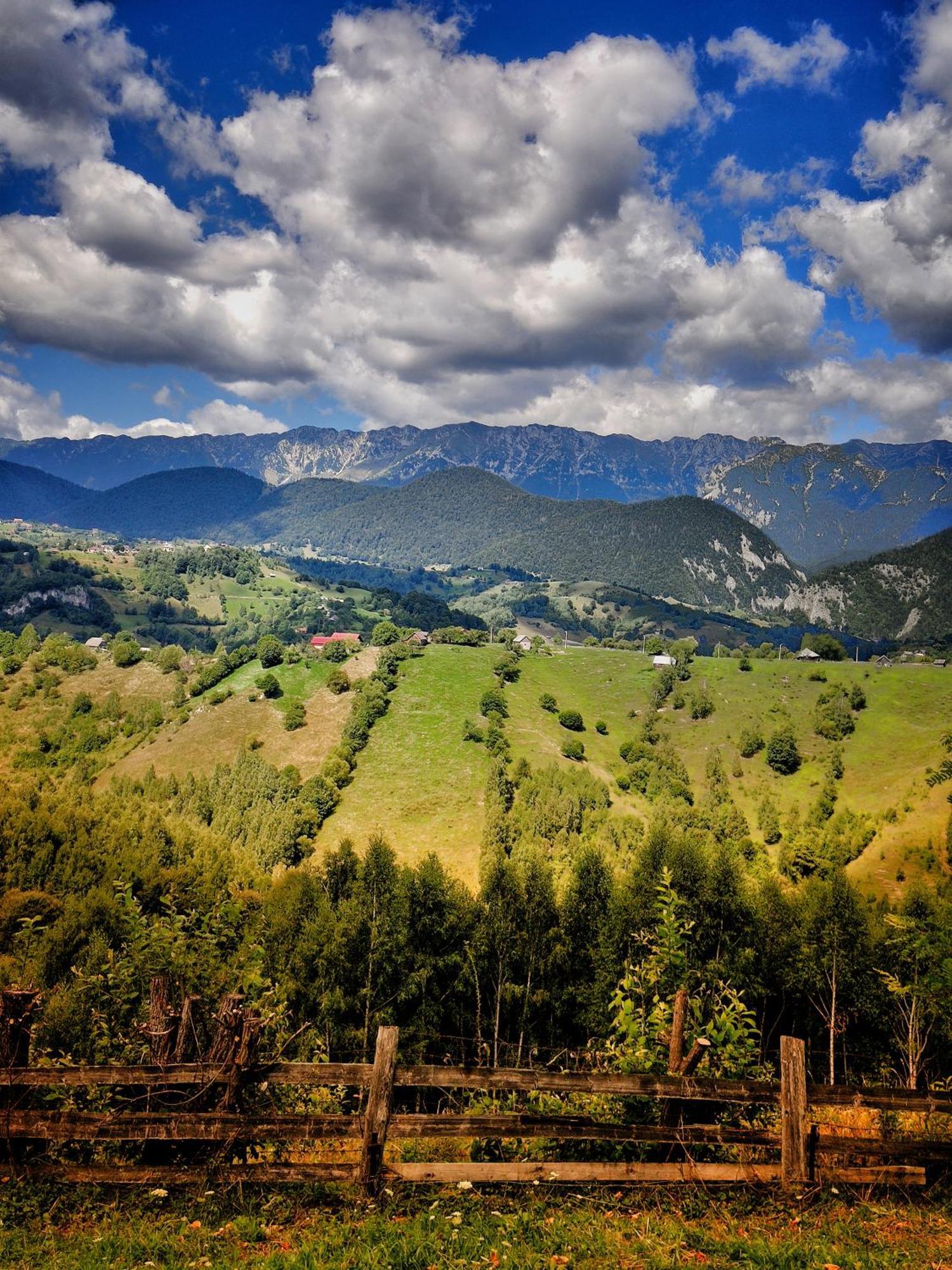 Alpine Escape Lodge