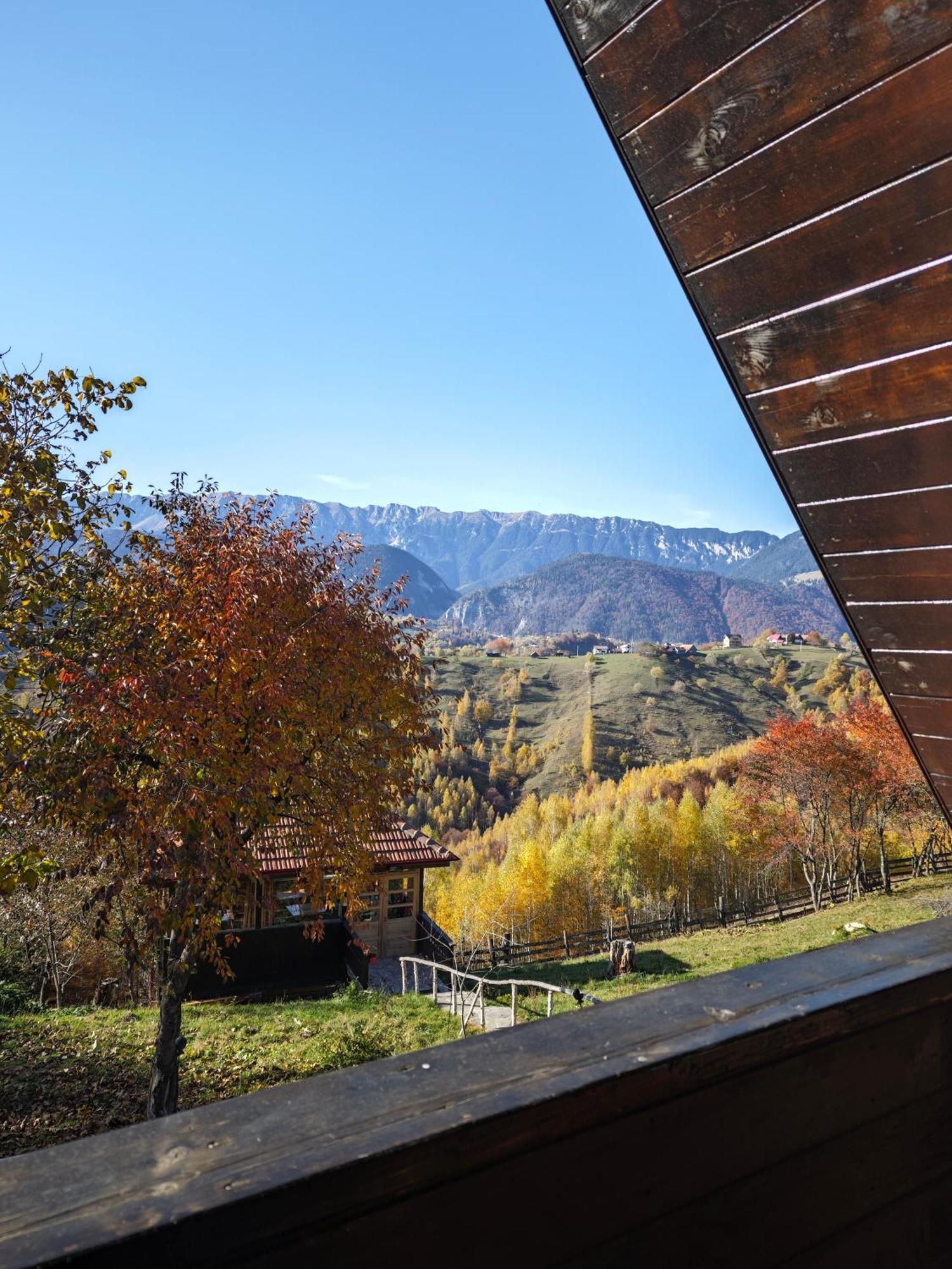 Alpine Escape Magura (Brasov)
