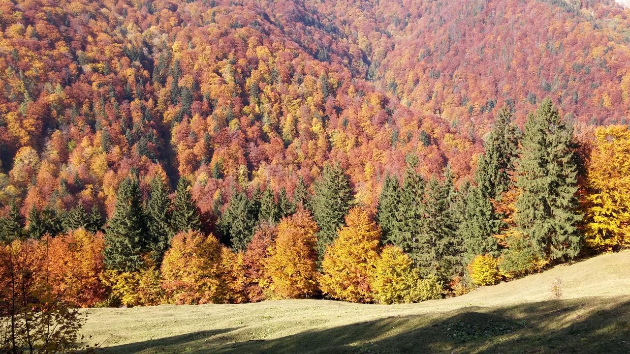 Alpine Escape *